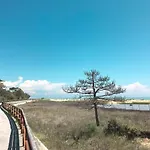 Begonie-2 By Interhome * Bibione
